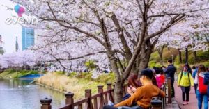 1781526331 26 Thumbnail Width699Height524 Auto Crop Watermark