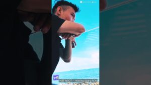 1783508207 Maxresdefault