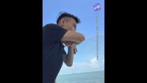 1783994971 Maxresdefault
