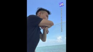 1783997731 Maxresdefault