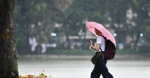 2026 Mua Giong Van Xuat Hien O Mien Bac Ha Noi 34 Do 5