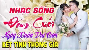 Lk Cha Cha Cha Nhạc Sống Đám Cưới Không Lời Hay Nhất 2023_Resolution (1)
