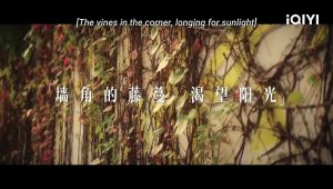 City Of Romance | Official Trailer - Iqiyi Romance