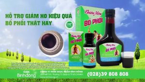 Sản Phẩm Bổ Phổi - Khi Nào Nên Dùng? Dược Bình Đông