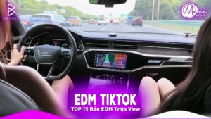 Nắng Dưới Chân Mây Remix  Bxh Nhạc Trẻ Remix Hay Nhất  Top 15 Bản Edm Tiktok Hot Trend 2025