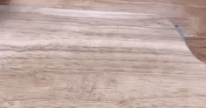Avatar1639556518773 16395565191301428404847 155 0 324 270 Crop 16395565848201814559711.Gif