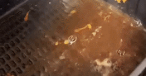 Avatar1639958019588 16399580199301799593941 202 0 371 270 Crop 1639958067109820486252.Gif