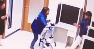 Avatar1783324918367 17833249187701962448385 0 0 314 600 Crop 17833250384991432687600.Gif