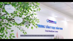 Trung Tâm Y Học Bào Thai Phenikaa Có Vai Trò Gì Trong Quản Lý Thai Kỳ Nguy Cơ Cao?