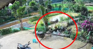 Be Trai 4 Tuoi O Tuyen Quang Ho Hoan Cuu Em Gai 2 Tuoi Thoat Khoi Duoi Nuoc 826