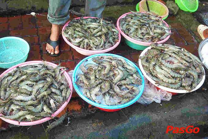 Hai San Ban Nguoi Viet Tu Dau Goc Ban Than 1