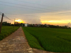 Hon 1 Thang Gui Con Ve Que Nang Dau Bat Ngo Nhan Ve Dua Tre Hoan Toan Khac 5Bcdb2C802E84177B3F92C486