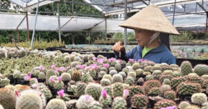 Nam 2562