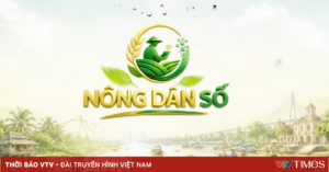 Nong Dan So5 19598696296633856991335 11529330657173032196518