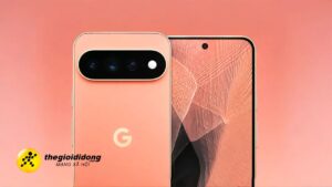 Pixel 11 2639203102528218090