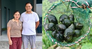 Vo Chong 9X Nguoi Tay O Tuyen Quang Thoat Ngheo Nho Nuoi Oc Nhoi 1796