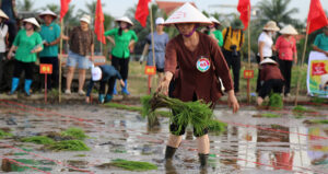 Xem Nong Dan Dao Ha Nam Thi Cay Vu Mua Moi 930